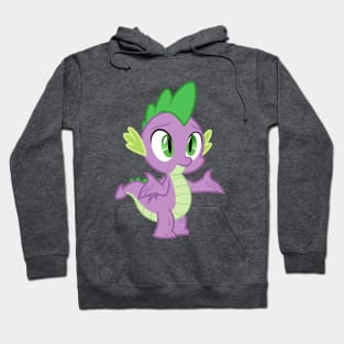 Spike shrug Hoodie